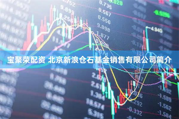 宝聚荣配资 北京新浪仓石基金销售有限公司简介
