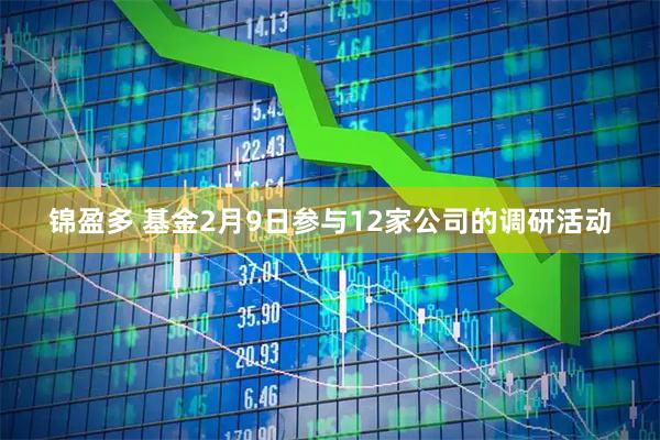 锦盈多 基金2月9日参与12家公司的调研活动